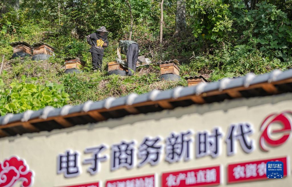 云顶集团40011官网
